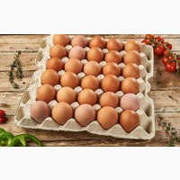 Продам курячі яйця