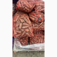 Продам моркву