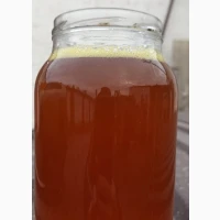 Куплю олію ріпакову