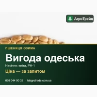 Сорт Вигода одеська (озима пшениця) - насіння еліта, РН-1 з документами