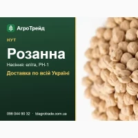 Розанна - нут, насіння еліта, РН-1 з документами