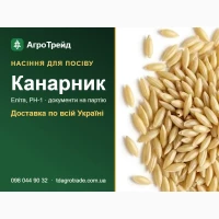 Продам насіння канарника - еліта, РН-1, доставка по Україні