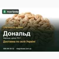 Нвсіння 03им0г0 тритиквле Д0нвльд для п0сі8у - елітв, РН-1