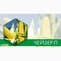 Чейзер-П к.с