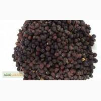 Боярышник экологически чистый