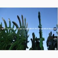 Борона мотыга ротационная John Deere Джон Дир 9 метров под МТЗ из США