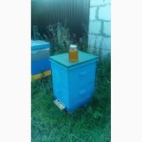 Мед липовой Мед разнотравья Мед подсолнечника