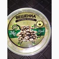 Продам грибы вешенка собственное производство