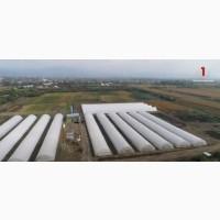 Стратегічний агроактив 2000 га на кордоні ЄС (Угорщина/Румунія)