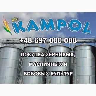 Куплю сорго белое, красное, просо