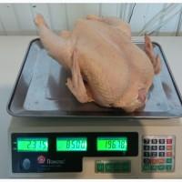 Куплю тушки домашних бройлеров, уток, нутрии, кролики