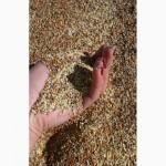 Куплю мертвые отходы подсолнуха просп рапса и др