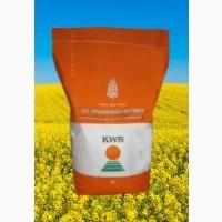Насіння озимого ріпаку Гибрірок, KWS