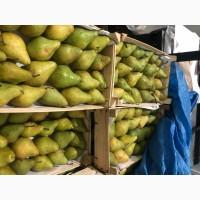 Продам грушу Нояберська