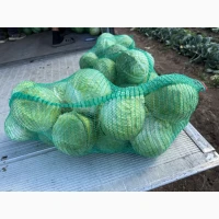 Продам капусту белокочанную