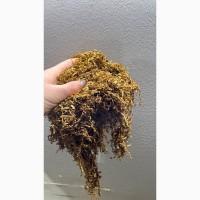 Заводской табак!!! Винстон, Руно, Кемел, Давидо, вирджиния, мальборо, честер