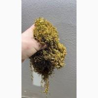 Заводской табак!!! Винстон, Руно, Кемел, Давидо, вирджиния, мальборо, честер