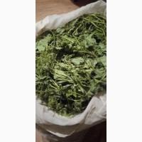 Куплю манжетку