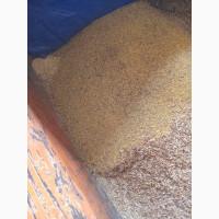 Продам для кормления рыб