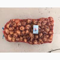 Семенной картофель «Прада»