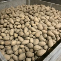 Продам їстівну картоплю