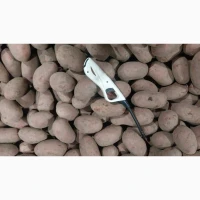 Продам їстівну картоплю