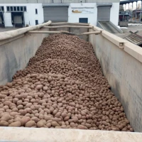 Продам їстівну картоплю
