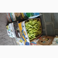 Продам перець кубовидний