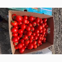 Продам помидоры Асвон и сливку