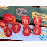 Продам помидоры Асвон и сливку