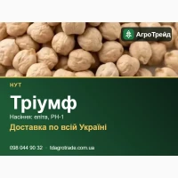 Тріумф - нут, насіння еліта, РН-1 з документами