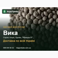 Продам насіння вики - Нітро, Орлан, Гібридна 97
