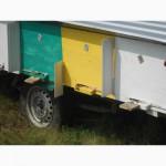 Продам передвижной пчелопавильон,прицеп для пчел, пасеку,п.г.т. Ставище, Київська обл.