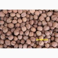 Продам бойный грецкий орех мытый