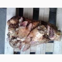 Субпродукты говяжьи, куриные
