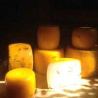 Продаю сыры твердые из КОЗЬЕГО молока