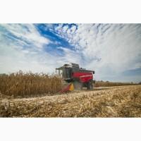 Комбайн зерноуборочный Massey Ferguson 7370