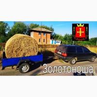 Перевезу Вашу худобу по Україні (корови, свині, вівці, кози)