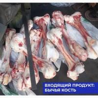 Измельчитель костей КРС (шредер)