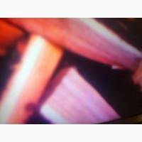 В продажі дрова дуб, ясень.Колоті.Доставка дров по Харькову і пригороду