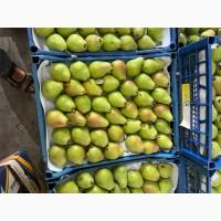 Продам грушу Вільямс