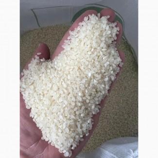 Рис круглий