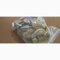 Мухоморы сухие 2025