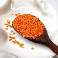 Сочевиця червона