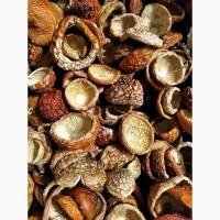 Шляпки червоного мухомора