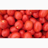 Продам помідор сливка відмінної якості