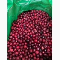 Продам вишню заморожену