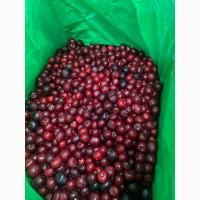 Продам вишню заморожену