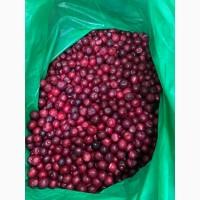 Продам вишню заморожену
