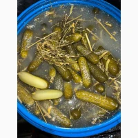 Помідори солені